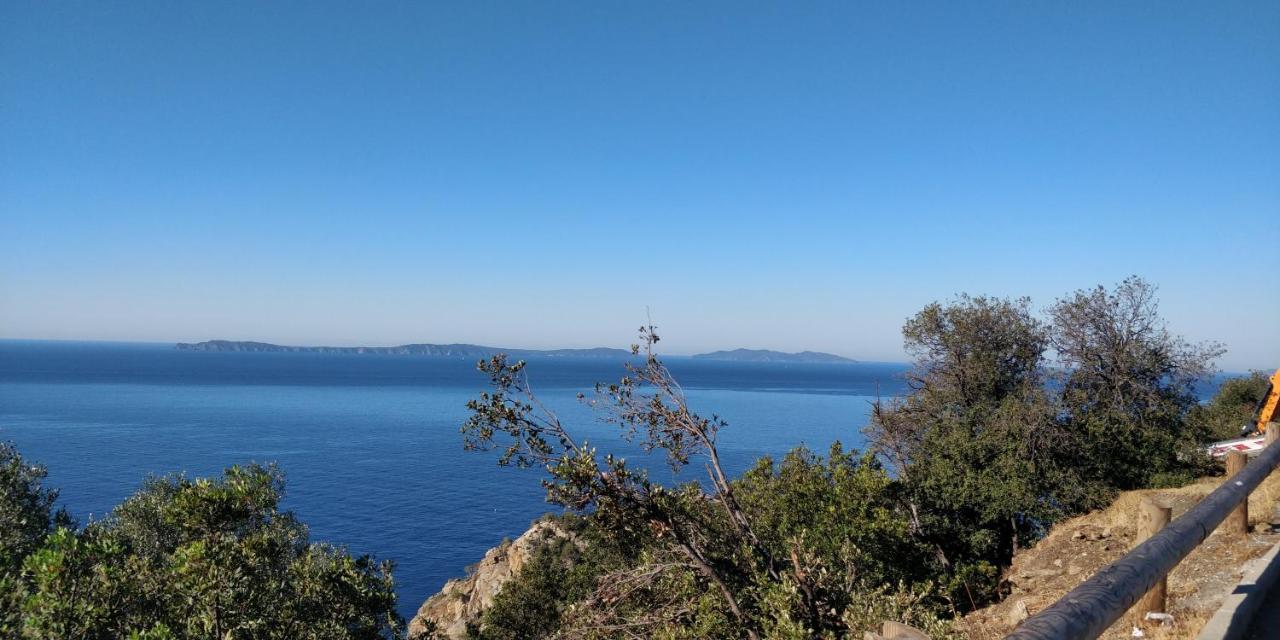 شقة "Ti Sable" Agreable Studio Climatise, Jolie Vue Mer, Piscine A Cavalaire Sur Mer Golfe De St-Tropez المظهر الخارجي الصورة