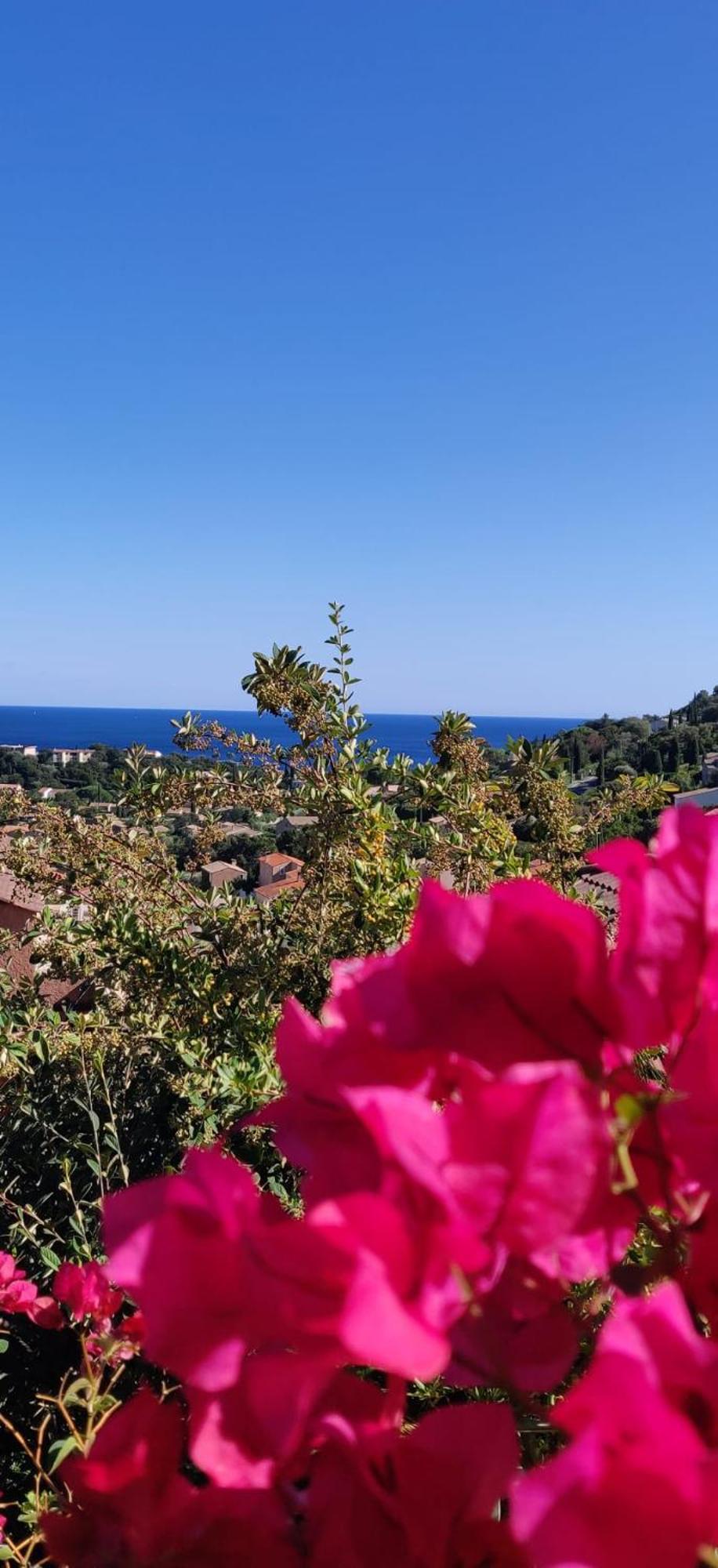 شقة "Ti Sable" Agreable Studio Climatise, Jolie Vue Mer, Piscine A Cavalaire Sur Mer Golfe De St-Tropez المظهر الخارجي الصورة